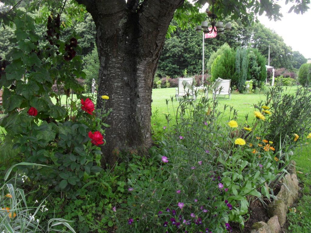 La Chevallerie B&B Isigny-le-Buat Eksteriør bilde