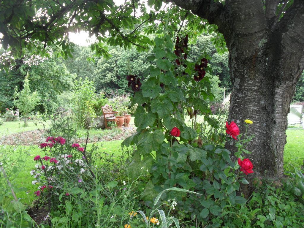 La Chevallerie B&B Isigny-le-Buat Eksteriør bilde