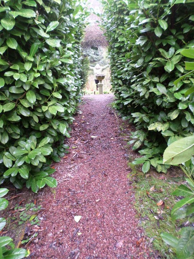 La Chevallerie B&B Isigny-le-Buat Eksteriør bilde